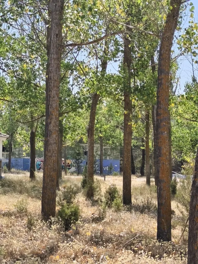 Campamento para reformar en camping o glamping — 5