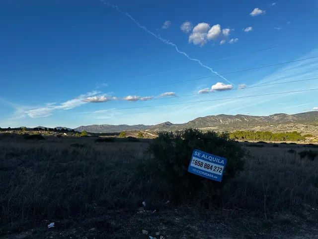 Parcela de 30.000 metros detras del hospital de Elda — 19
