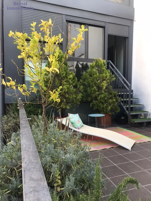 Vivienda SINGULAR en el centro de Logroño.Planta baja, más dos. Terraza de sesenta metros y jardin con pozo. — 18