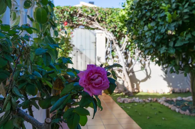 Bungalow en planta baja con amplio jardín privado y aparcamiento en Cabo Roig — 33