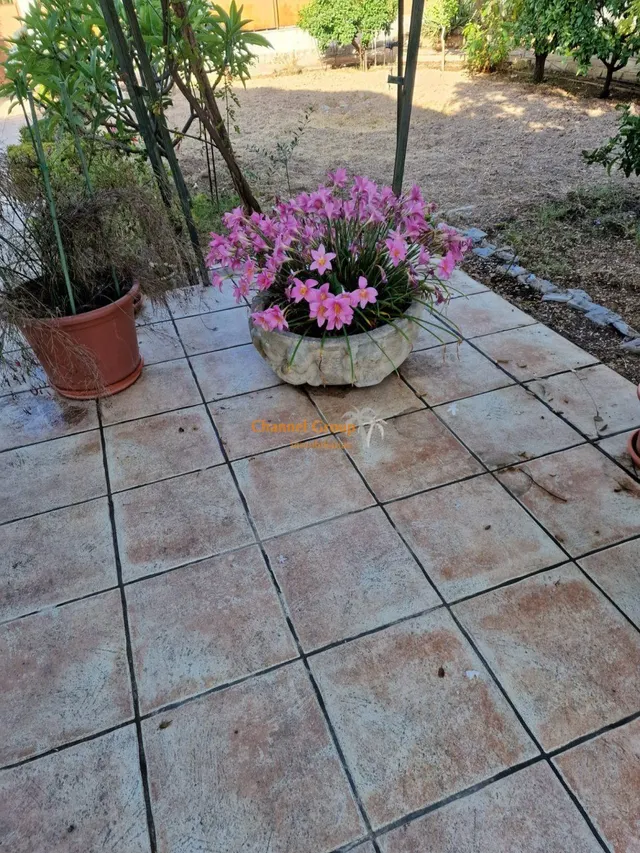 SE VENDE CHALET EN ELCHE — 11