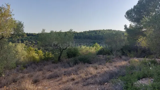 Finca Rústica en el Perello con muchas posibilidades - foto 3