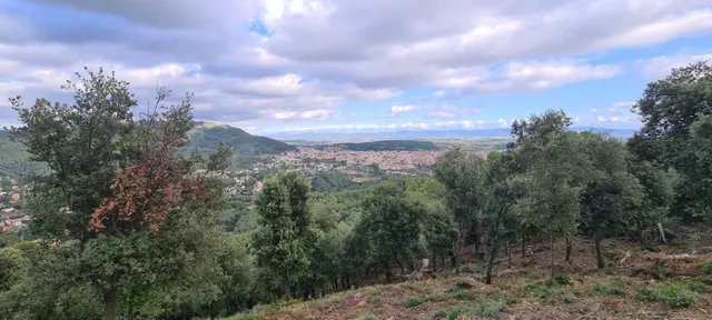 Terreno situado en Sant Feliu del Racó — 4
