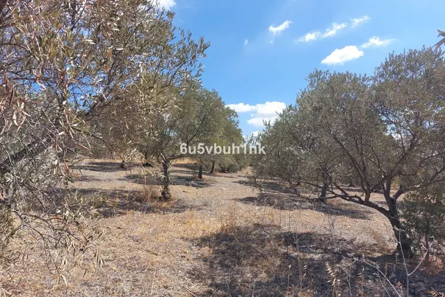 Parcela en venta - Alora pueblo — 14