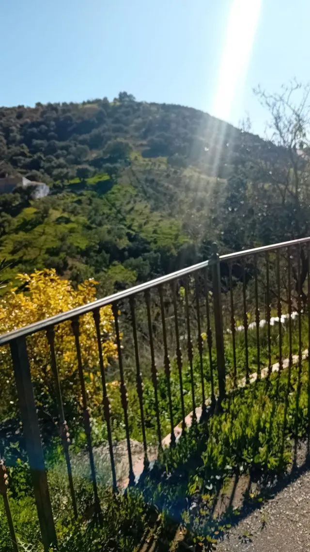 Finca rústica 4 habitaciones 115m² en venta - Marbella — 25