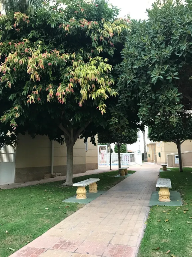 Apartamento reformado con piscina comunitaria, Alicante, Torrevieja. 3 habitaciones | 60 m2 | A 300 metros del mar — 32