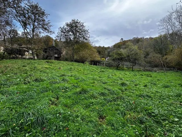 FINCA EDIFICABLE A 3 KM DE CANGAS DE ONIS — 13