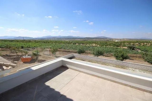 Villas de Obra Nueva en Pinoso en parcelas rústicas — 3