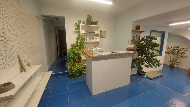 Centro veterinario en alquiler en pleno centro de L’Ametlla 