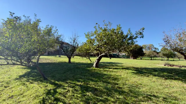 Casa en venta en Liaño — 35