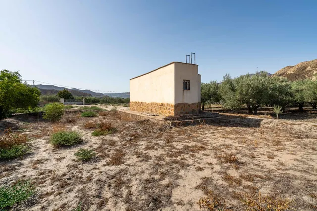 Terreno con Cortijo en Alsodux — 11