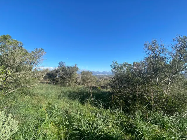 ✨ ¡OPORTUNIDAD ÚNICA EN EL CORAZÓN DE MALLORCA! ✨ - foto 3