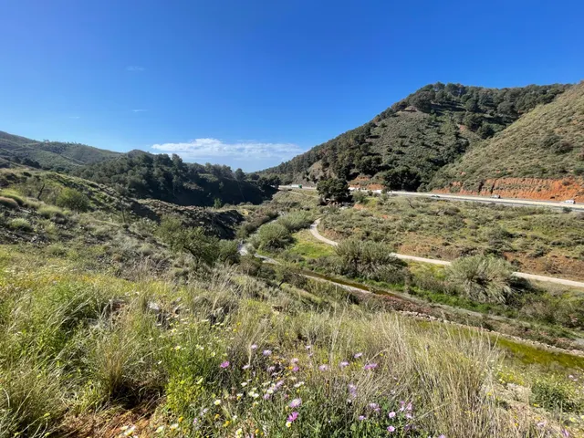 Se vende parcela rústica en los Montes de Málaga, junto a la carretera — 14