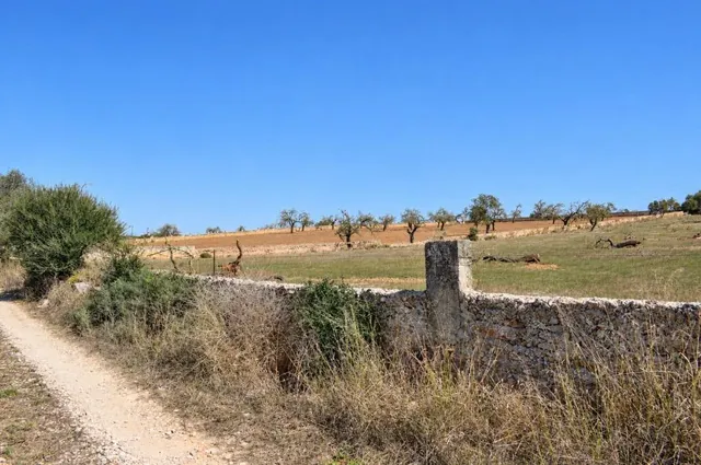 Finca rústica con posibilidad de vivienda en Ariany — 9