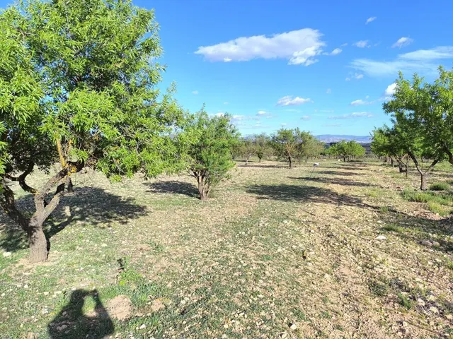 Parcela en venta - Castilla la mancha - foto 2