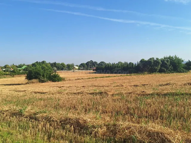 Excelente Finca Rústica de regadío