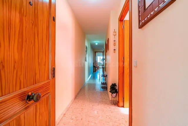 Tu próximo hogar familiar: amplitud, luz y cercanía a todo en El Ejido — 4