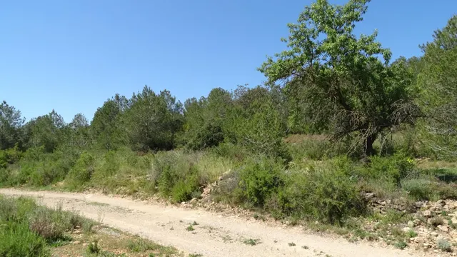 Terreno en venta en Vilamarxant — 15