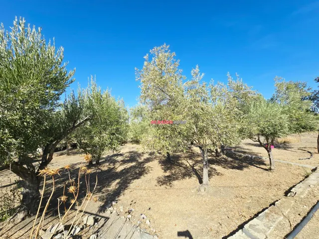 Chalet en Torrecampo — 18