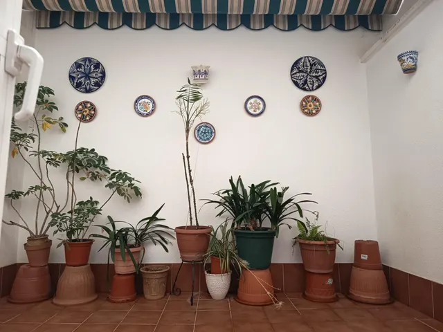 Fantástica vivienda junto al Vial — 22