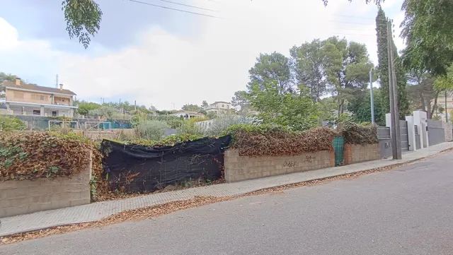 ¡¡ TERRENO EN CANYELLES - CALIFORNIAS !! — 8