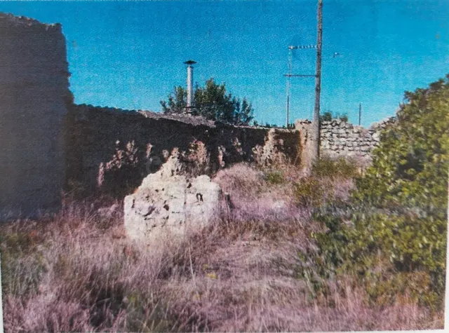 DISPONIBLE A LA VENTA PALOMAR EN AUTILLA DEL PINO — 2