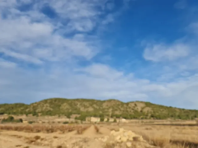 Terreno en venta en Monóvar Comunidad Valenciana — 6