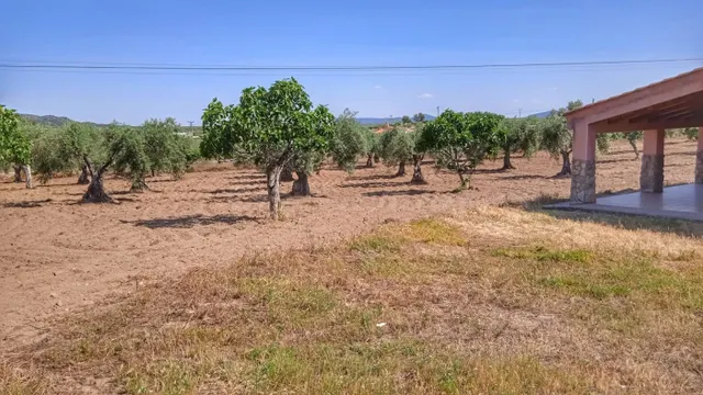 Parcela de 1 hectarea con chalet nuevo de 150 m2 en Arroyomo - foto 3