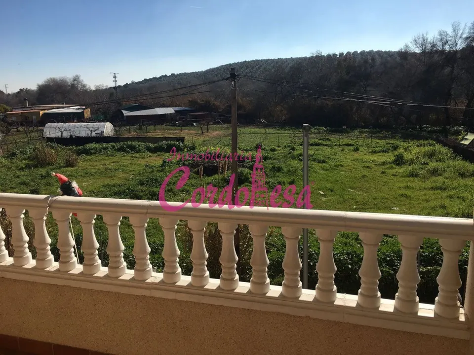 MAGNIFICA CASA DE 2 PLANTA EN ALCOLEA.