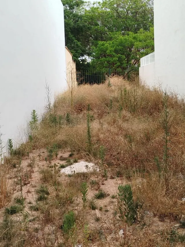 Terreno en Sedaví, Gran Oportunidad!!! — 4