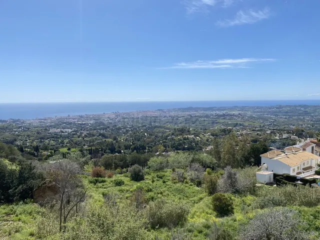 Parcela 6100m² en venta - Riviera del sol - foto 2