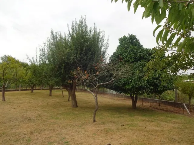 SE VENDE CASA SEÑORIAL PAREADA DE PIEDRA REFORMADA Y EN PERFECTO ESTADO EN PADRON — 49