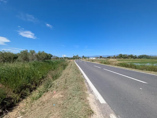 FINCA REGADÍO DE OLIVOS EN DELTA DEL EBRO - foto 5