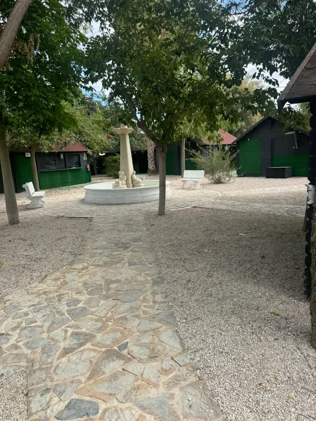 Esta es tu oportunidad de tener la mejor discoteca de la Vega Baja (Cox-Albatera) . Discoteca con Piscina , Jardines  , Cabañas Vip , Sala interior . Con un total de  3000 m2  totalmente montados , c — 19
