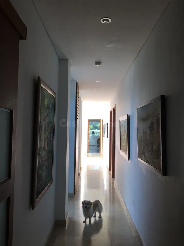 Vendo o arriendo casa en Zona Norte