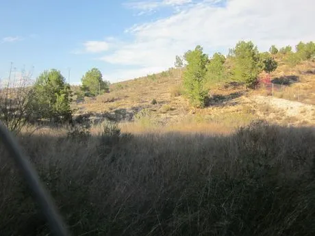 ++GRAN PARCELA DE 1700M2 - foto 4