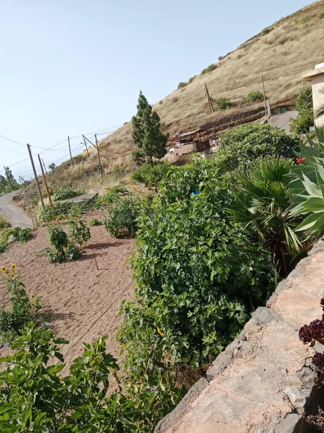 Exclusiva Finca en Venta en Cruz de Tea – Vive la auténtica  - foto 2
