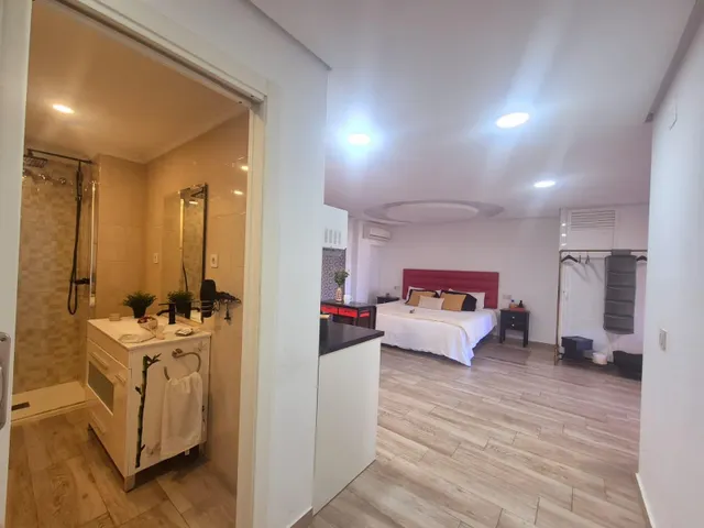 Se vende loft reformado en el Paseo de la Conferencia — 7
