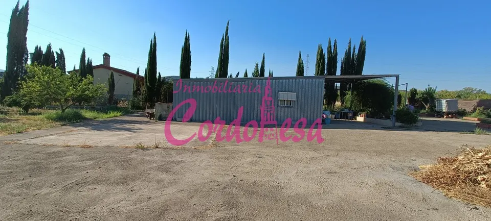 PRECIOSA PARCELA CON 2000 METROS
