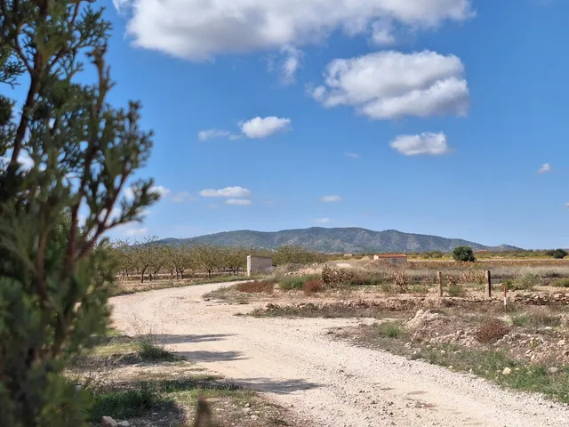 ¡Parcela edificable de 16.964 m2, vallada, con camino perimetral, agua de riego e informe urbanístico disponible, a solo 5 minutos de Pinoso! — 13