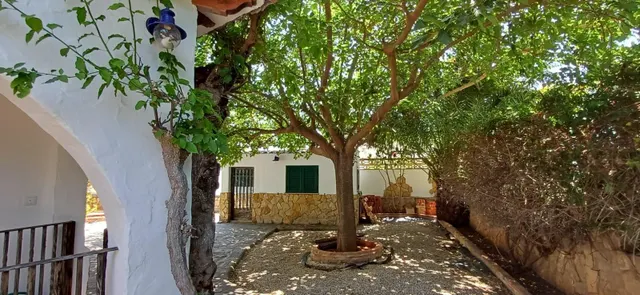 Alquiler anual  Chalet en zona Santa Lucía, con amplia parcela y todas las comodidades — 33