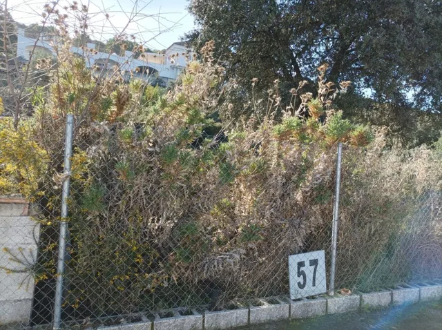 Parcela en venta - Costa del Sol — 6