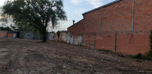 Parcela en venta - Marca del Ham - Vilatenim - foto 4