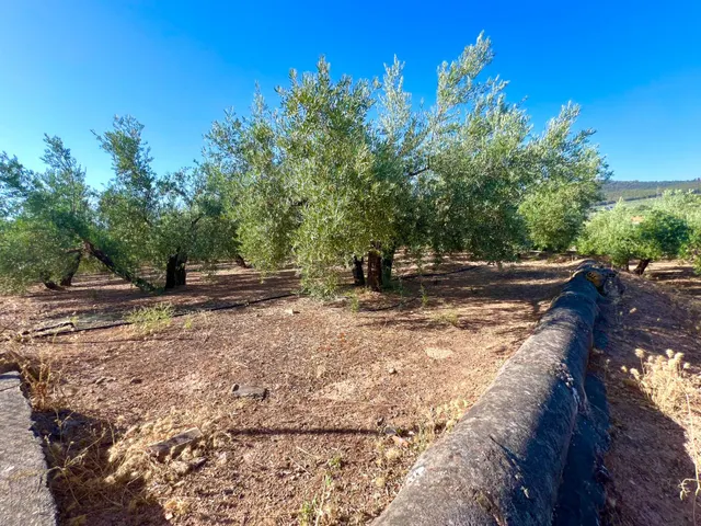 ALBOLOTE - PANTANO CUBILLAS — 37