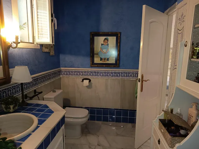 Estupenda casa en Alcolea — 25