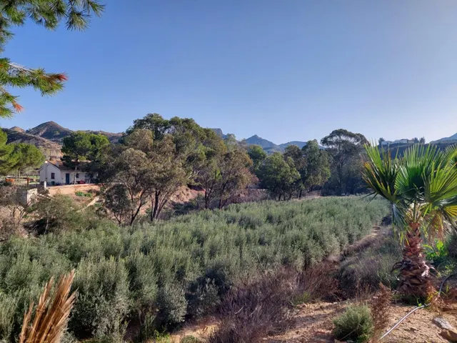 Casa con terreno en zona del Garruchal — 36