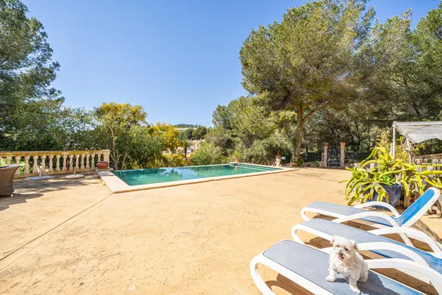Chalet unifamiliar de 5 dormitorios y 5 baños, con piscina, garaje, ascensor y apartamento de invitados en Peguera (Calvià) — 6