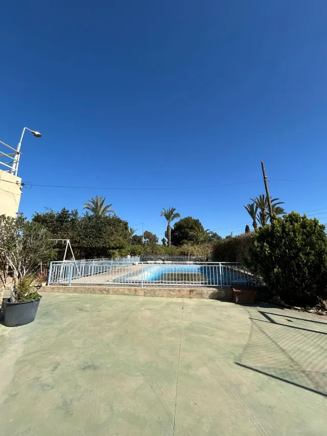 BUSCAS UN CAMPO A 2 MINUTOS DE ELCHE ? — 14