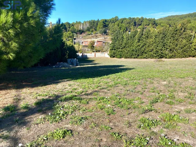 Casa 4 vientos en parcela llana de 3.533m2 — 35