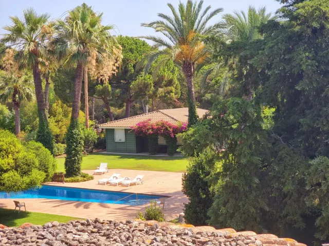 Maravillosa casa con jardín mas casa invitados — 8